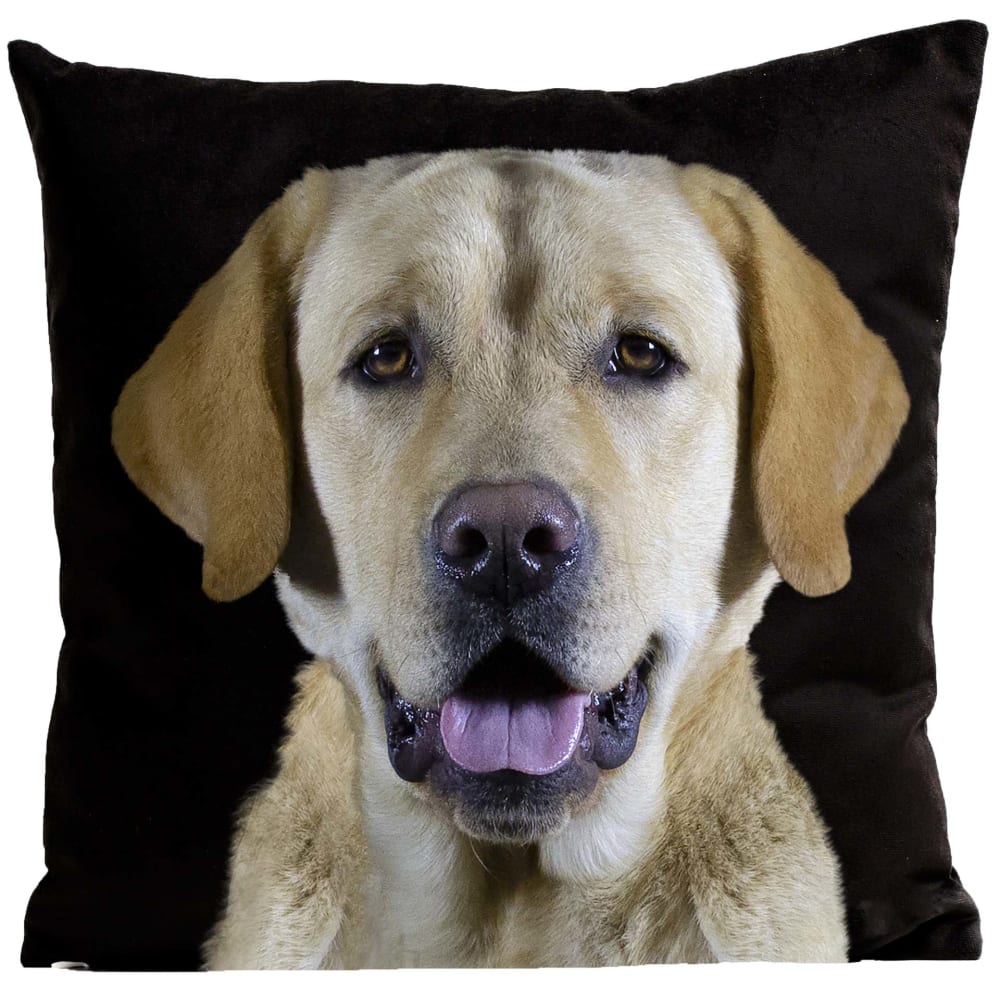 Coussin chien labrador suédine noir 40x40cm