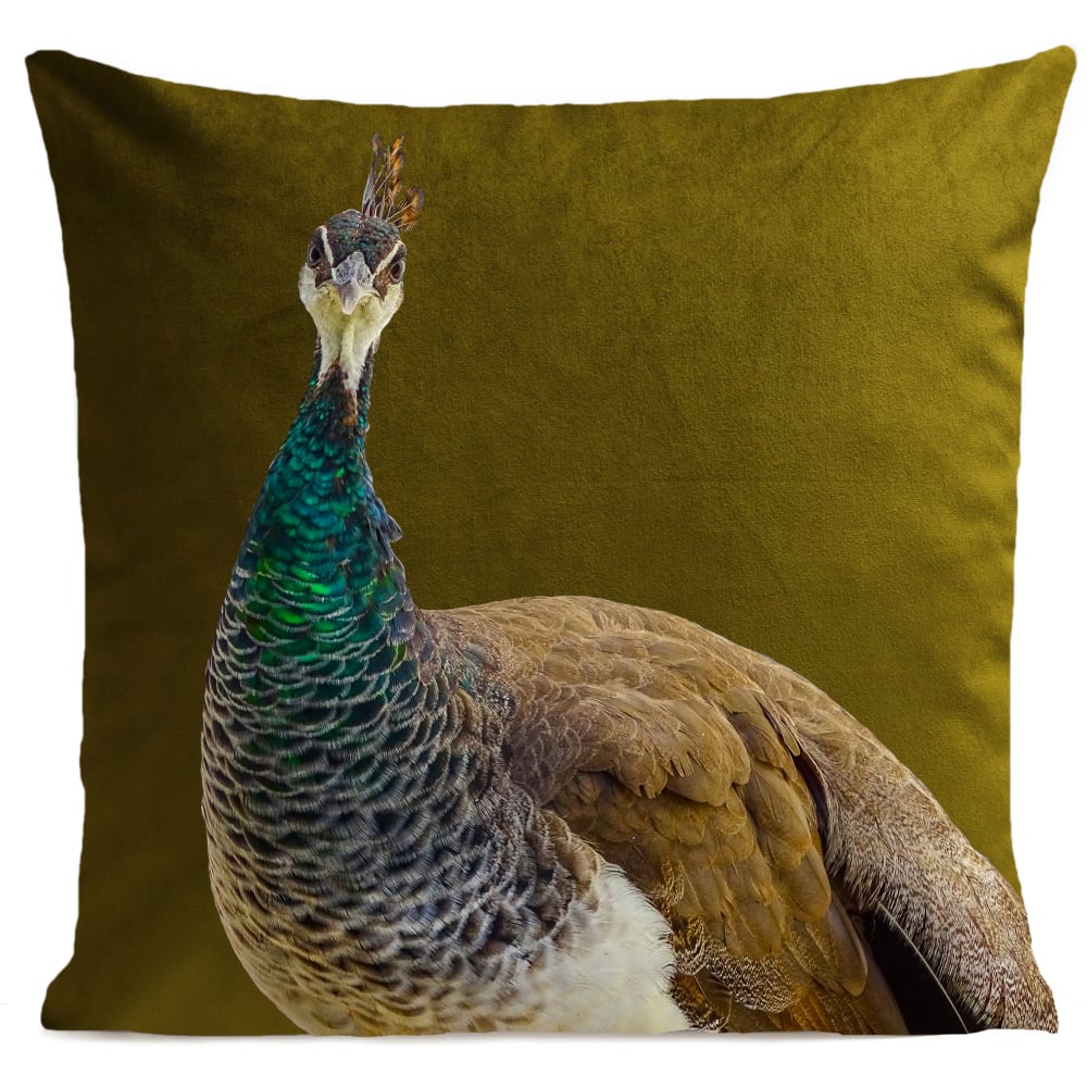 Coussin campagne paon suédine vert 40x40cm