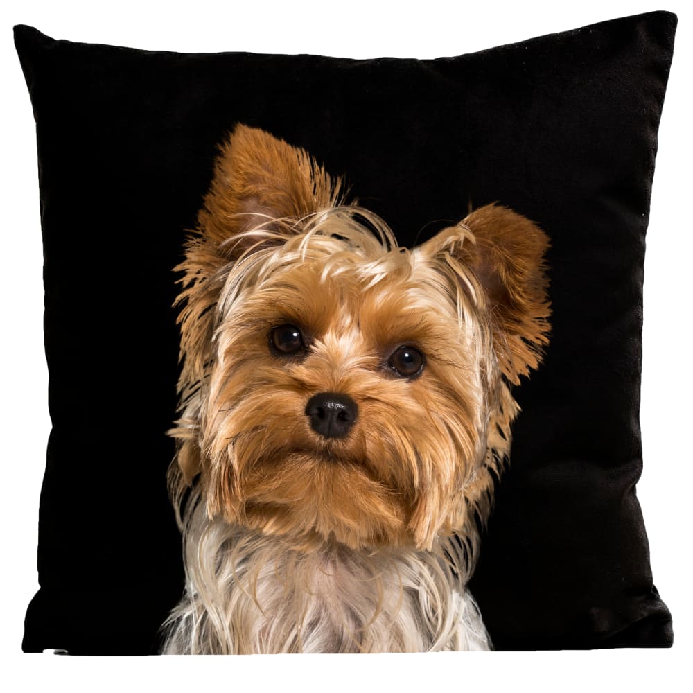 Coussin chien yorshire suédine noir 40x40cm