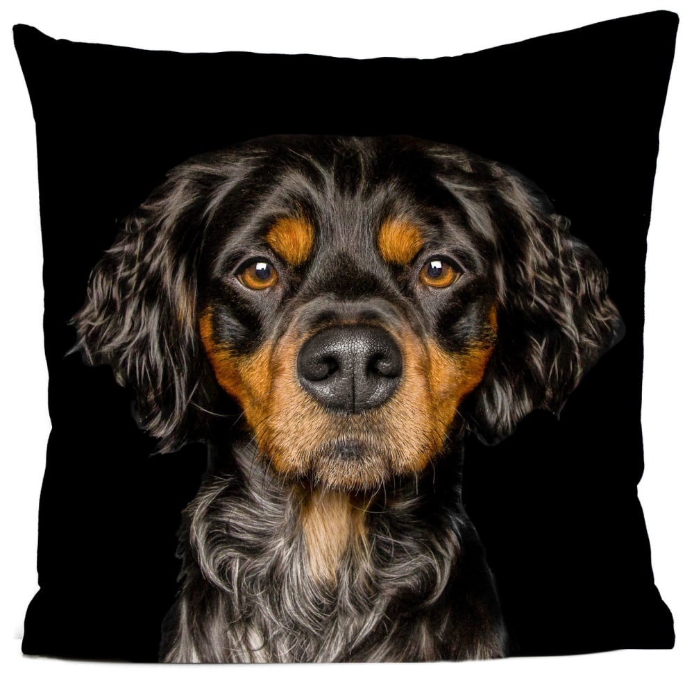 Coussin chien epagneul breton suédine noir 40x40cm