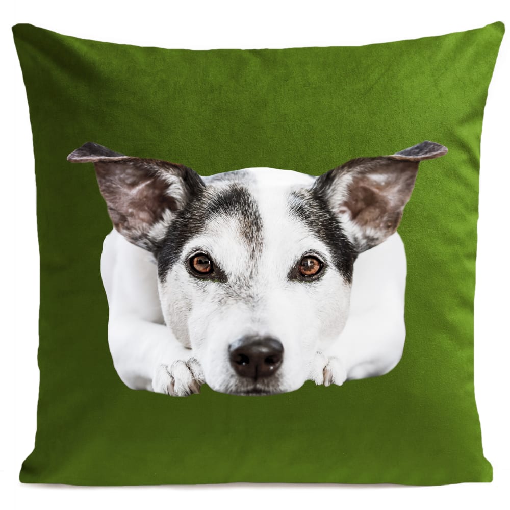 Coussin chien jack russel suédine vert 40x40cm