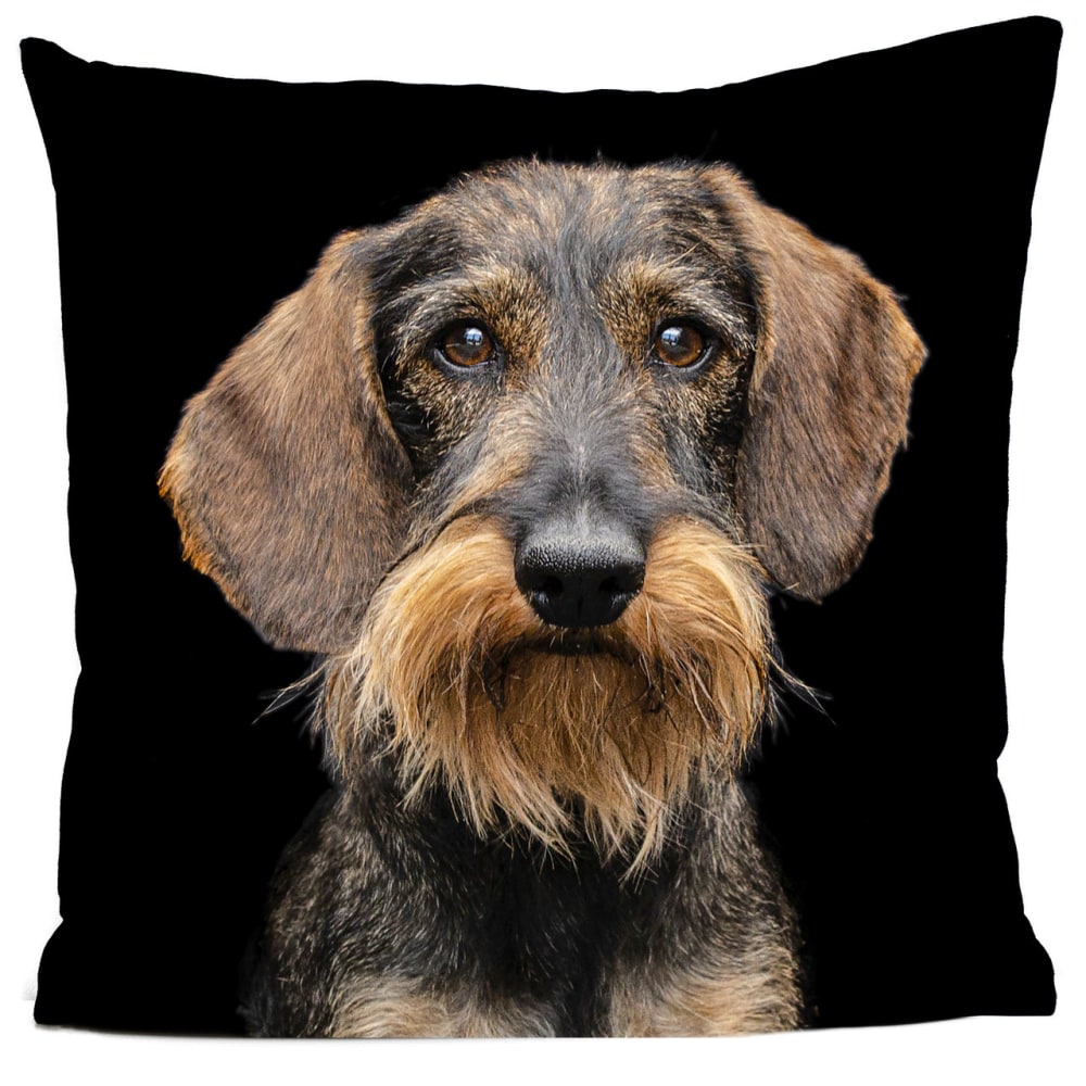 Coussin chien teckel suédine noir 40x40cm