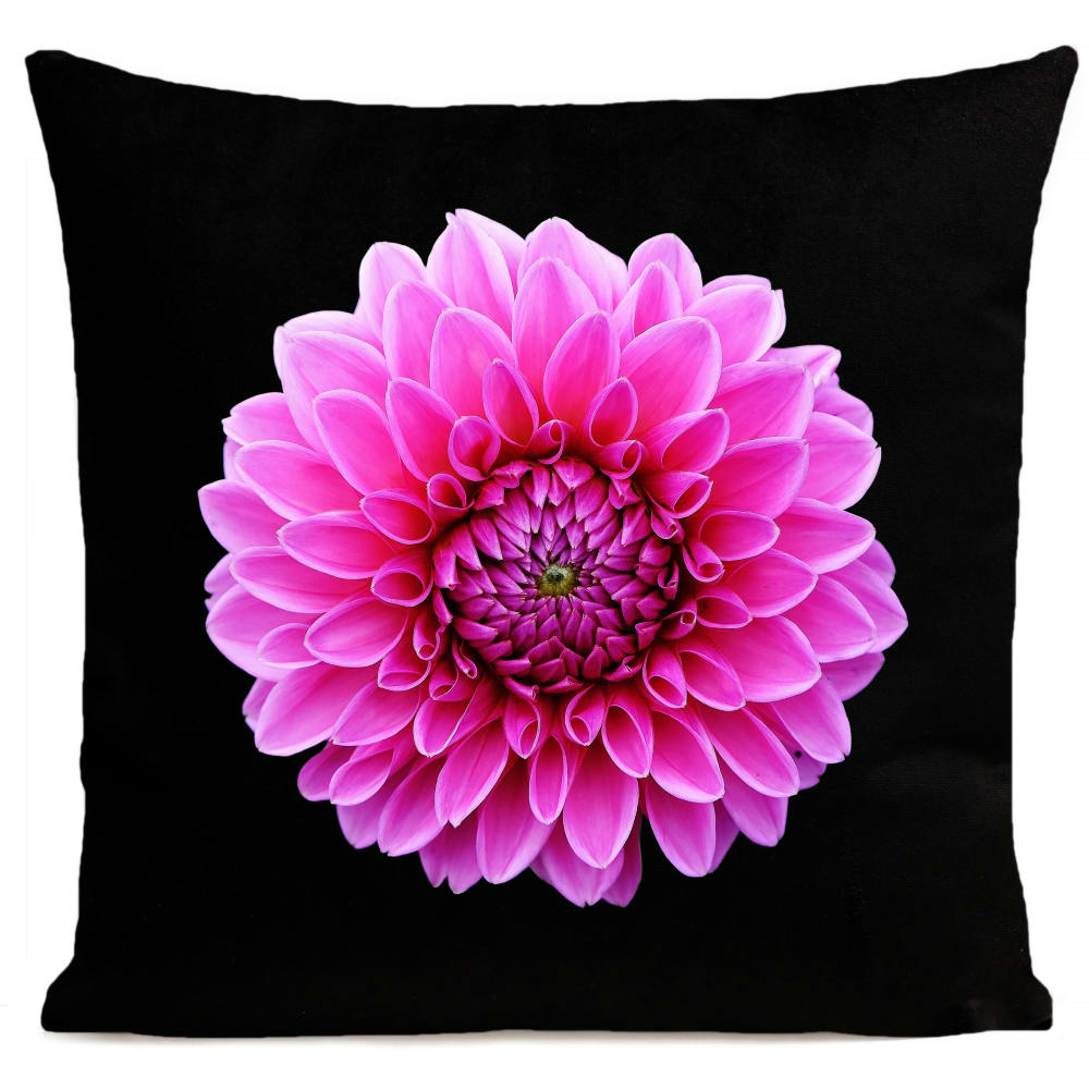 Coussin fleur dahlia suédine noir 40x40cm