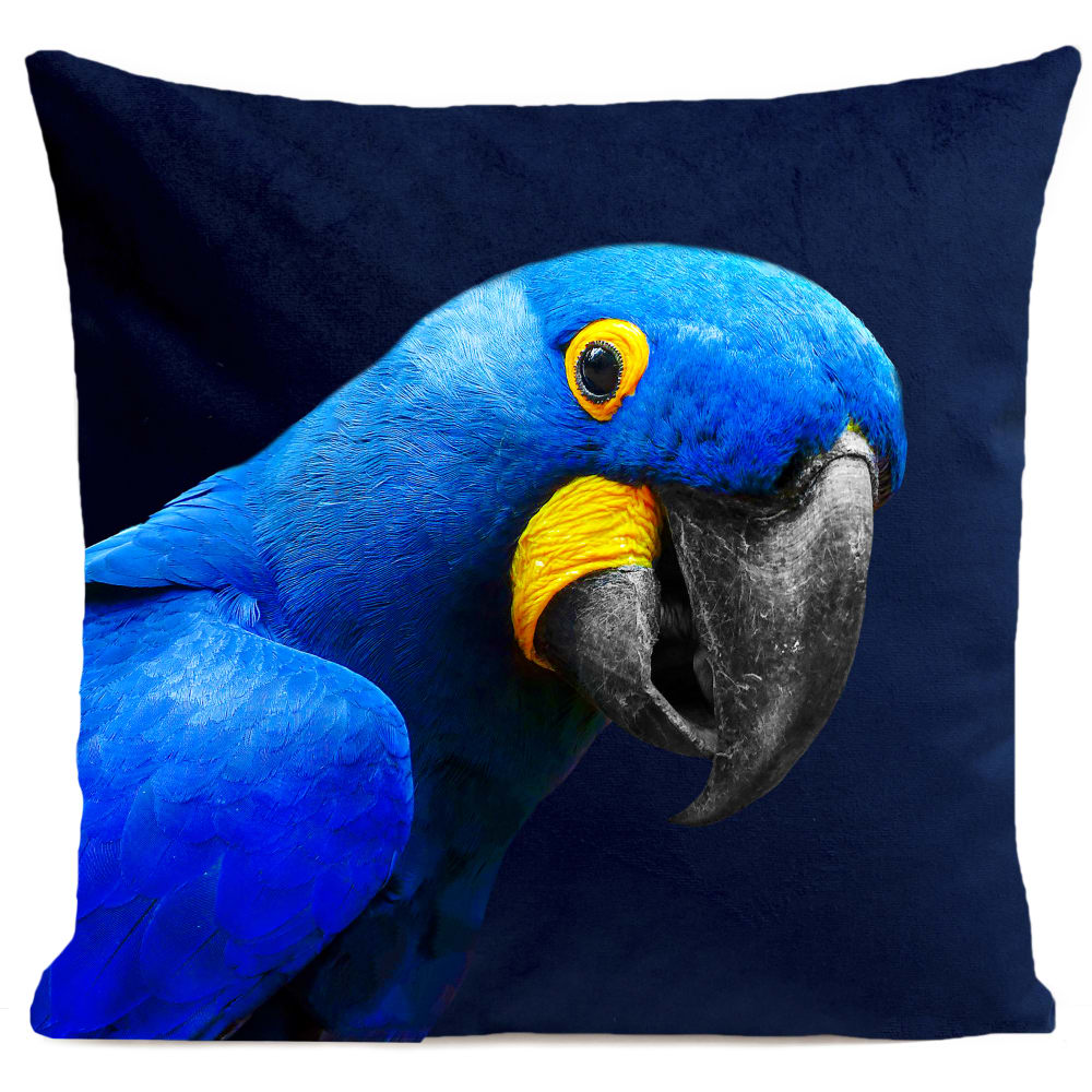 Coussin tropical perroquet suédine bleu 40x40cm