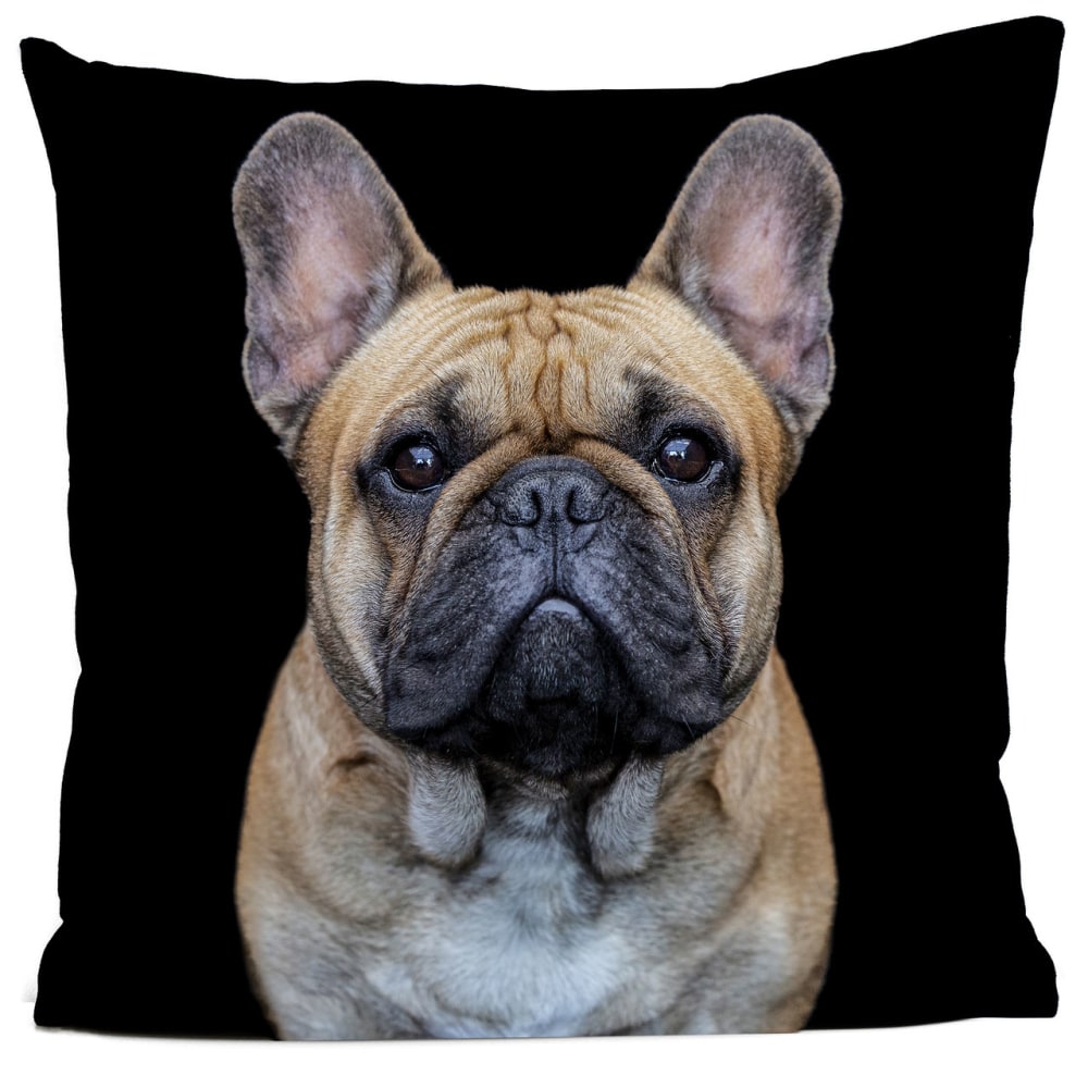 Coussin chien bouledogue suédine noir 40x40cm