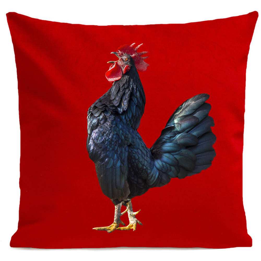 Coussin campagne coq rouge suédine 40x40cm