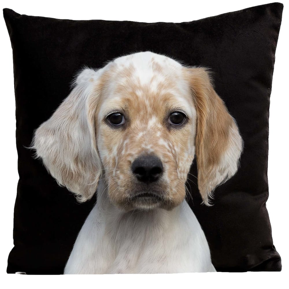 Coussin chien chiot suédine noir 40x40cm
