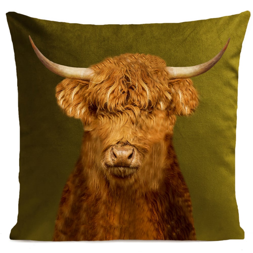 Coussin campagne vache des highlands vert 40x40cm Coussin campagne vache des highlands vert 40x40cm
