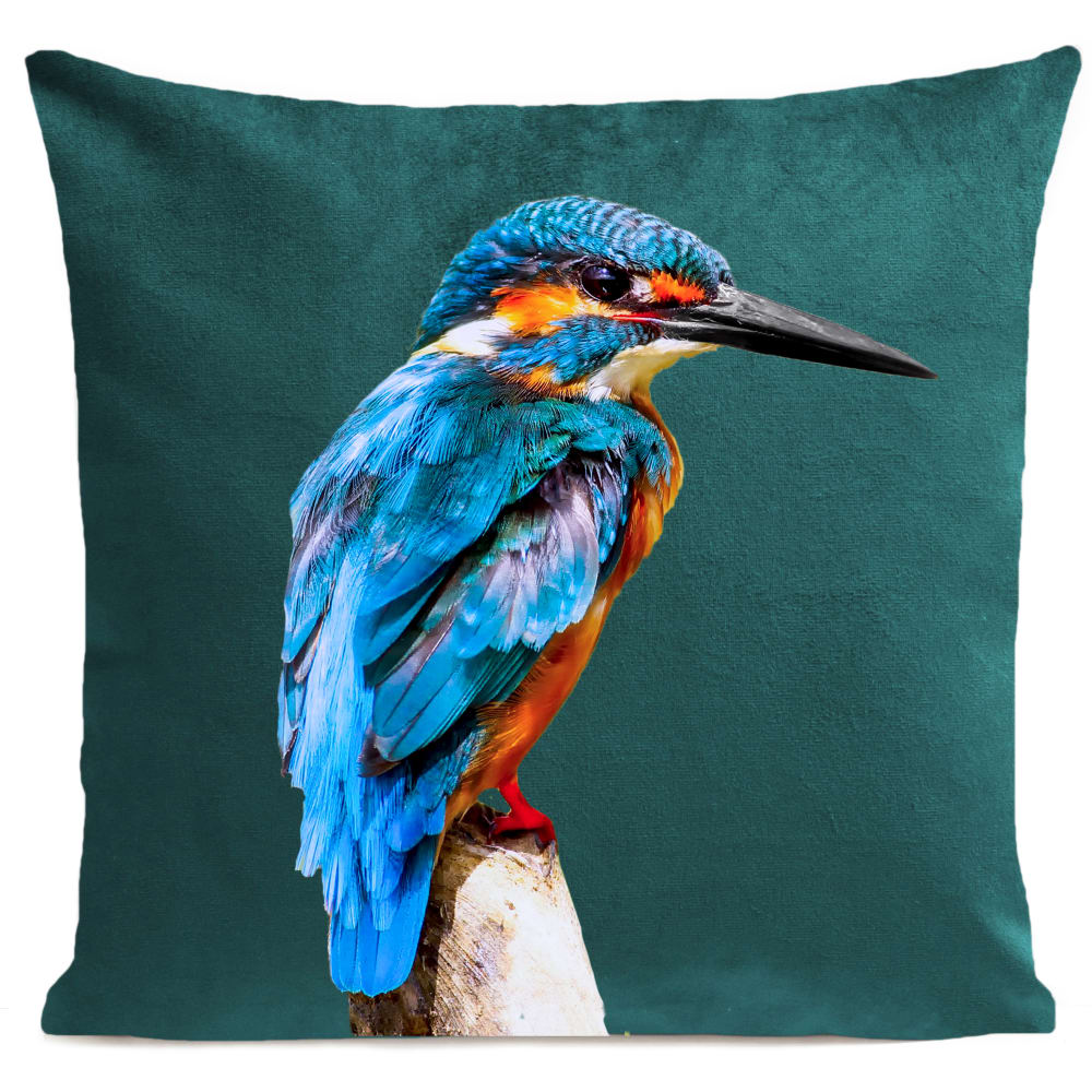 Coussin oiseau bord de mer suédine vert 40x40cm
