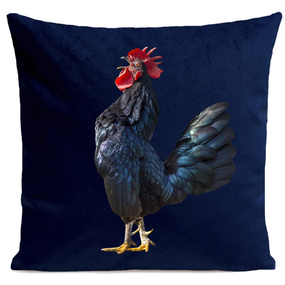 Coussin campagne coq bleu suédine 40x40cm