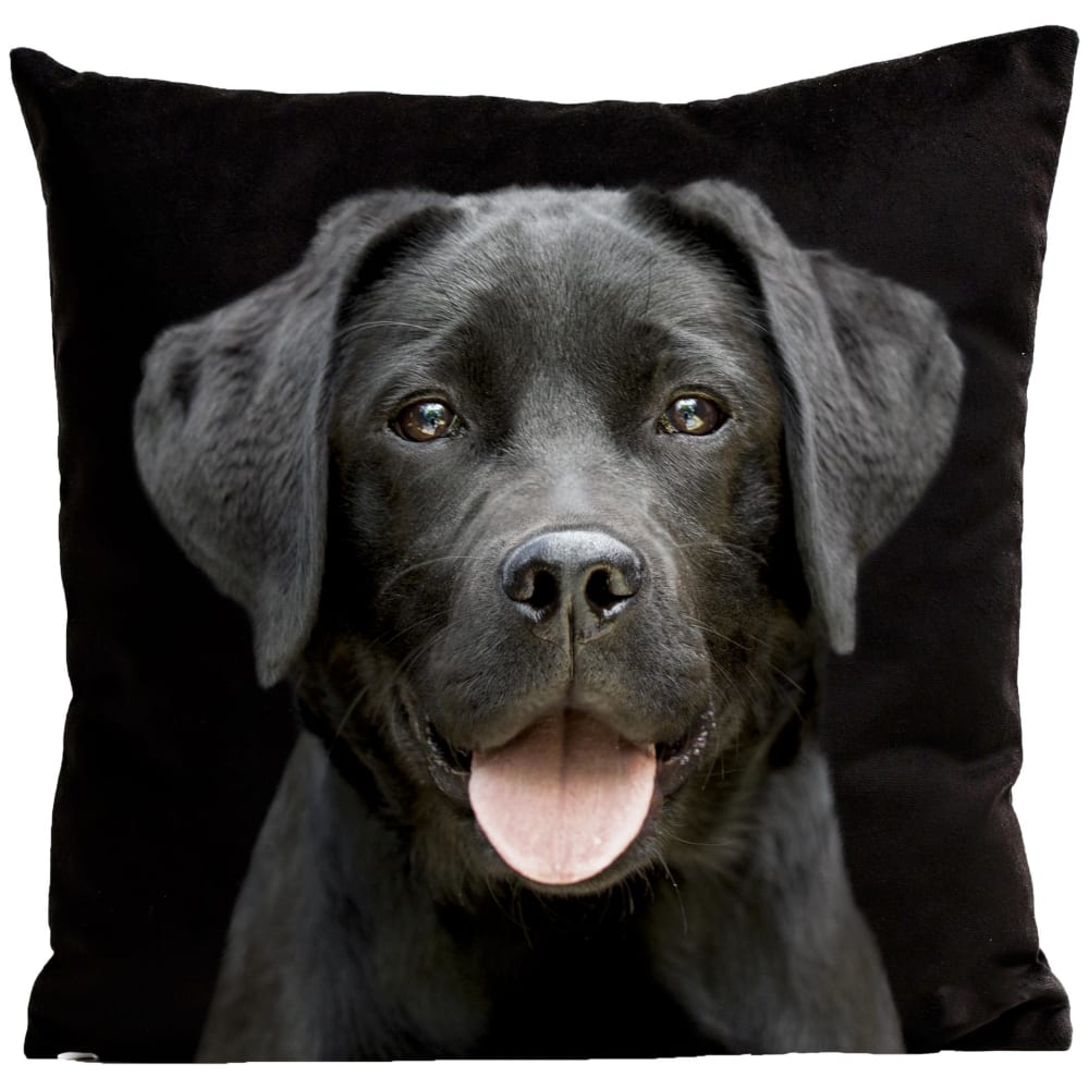 Coussin chien labrador suédine noir 40x40cm