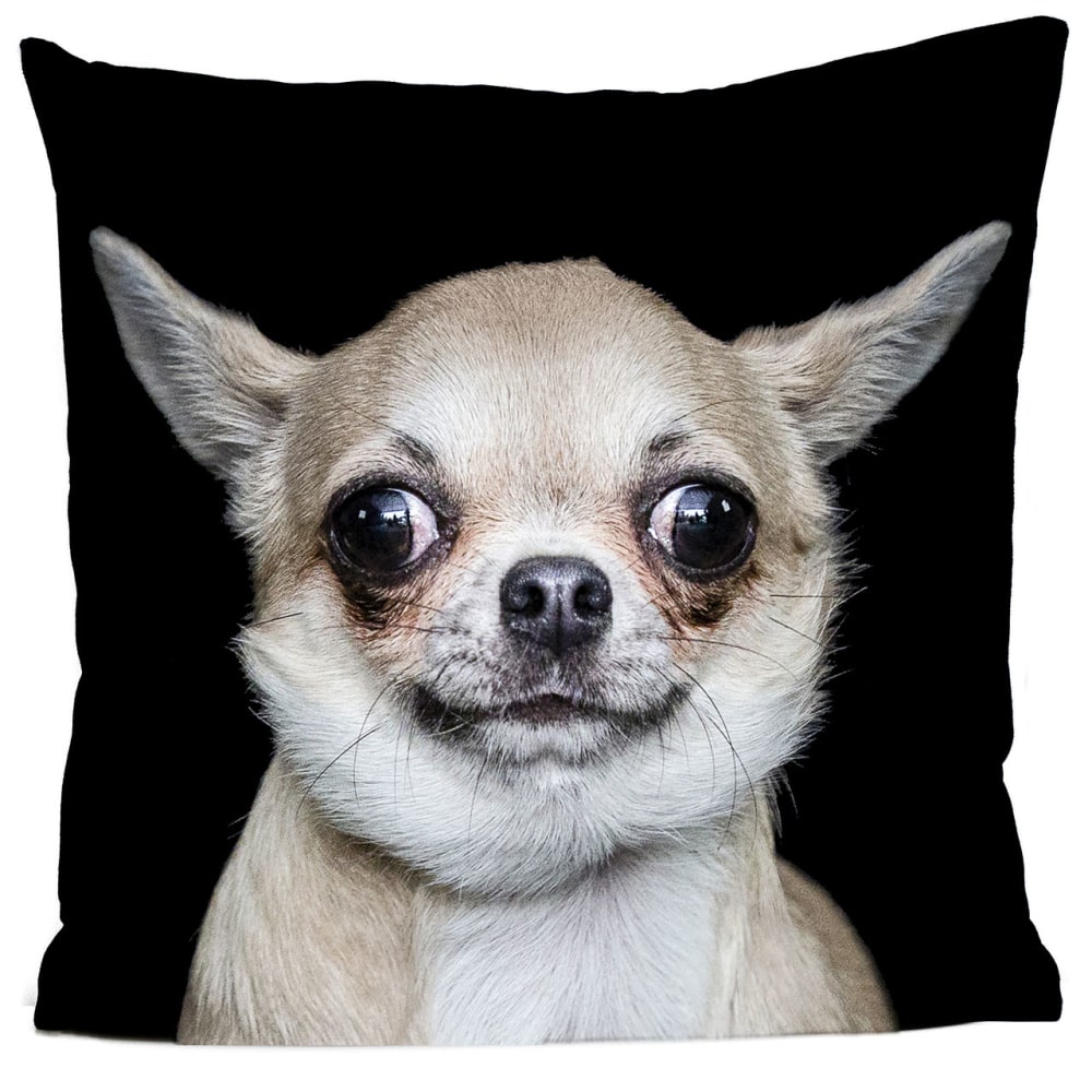 Coussin chien chihuahua suédine noir 40x40cm
