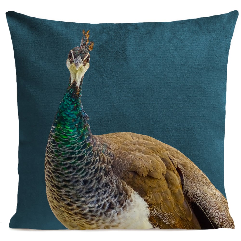Coussin campagne paon suédine bleu 40x40cm