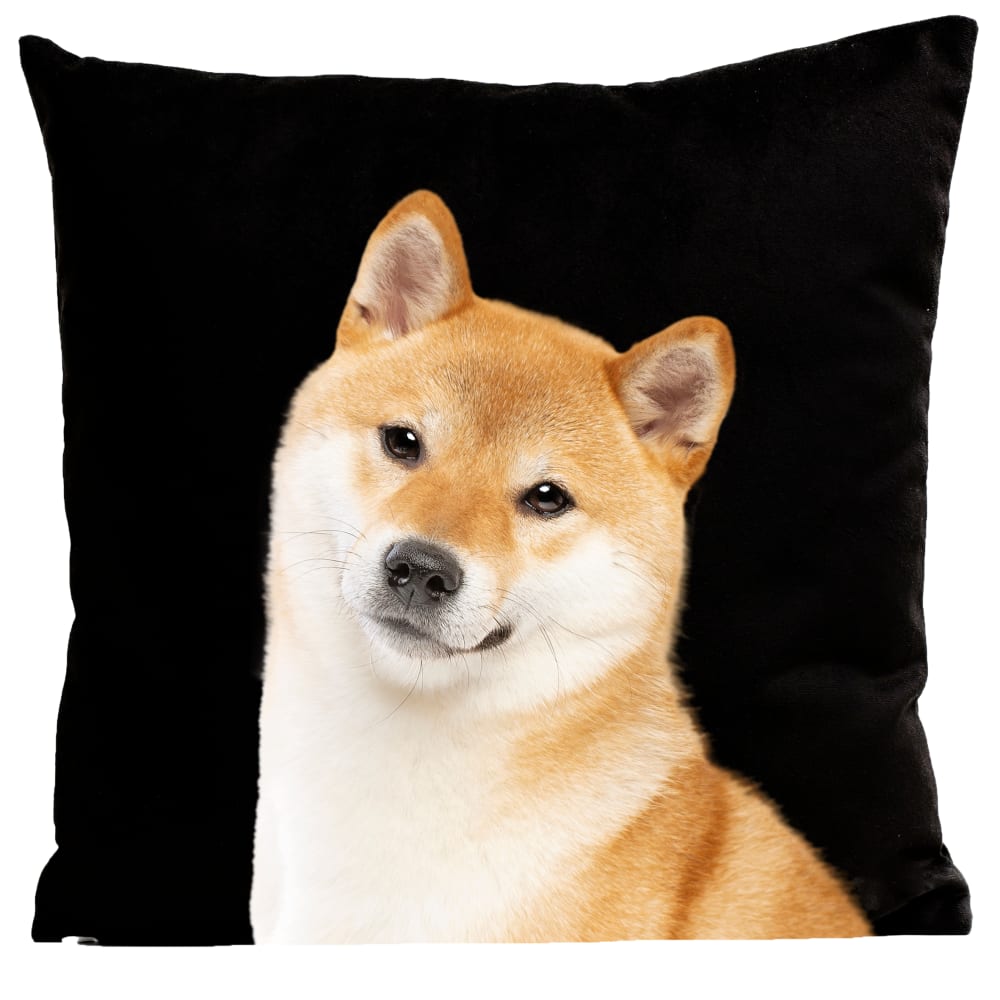Coussin chien shiba suédine noir 40x40cm