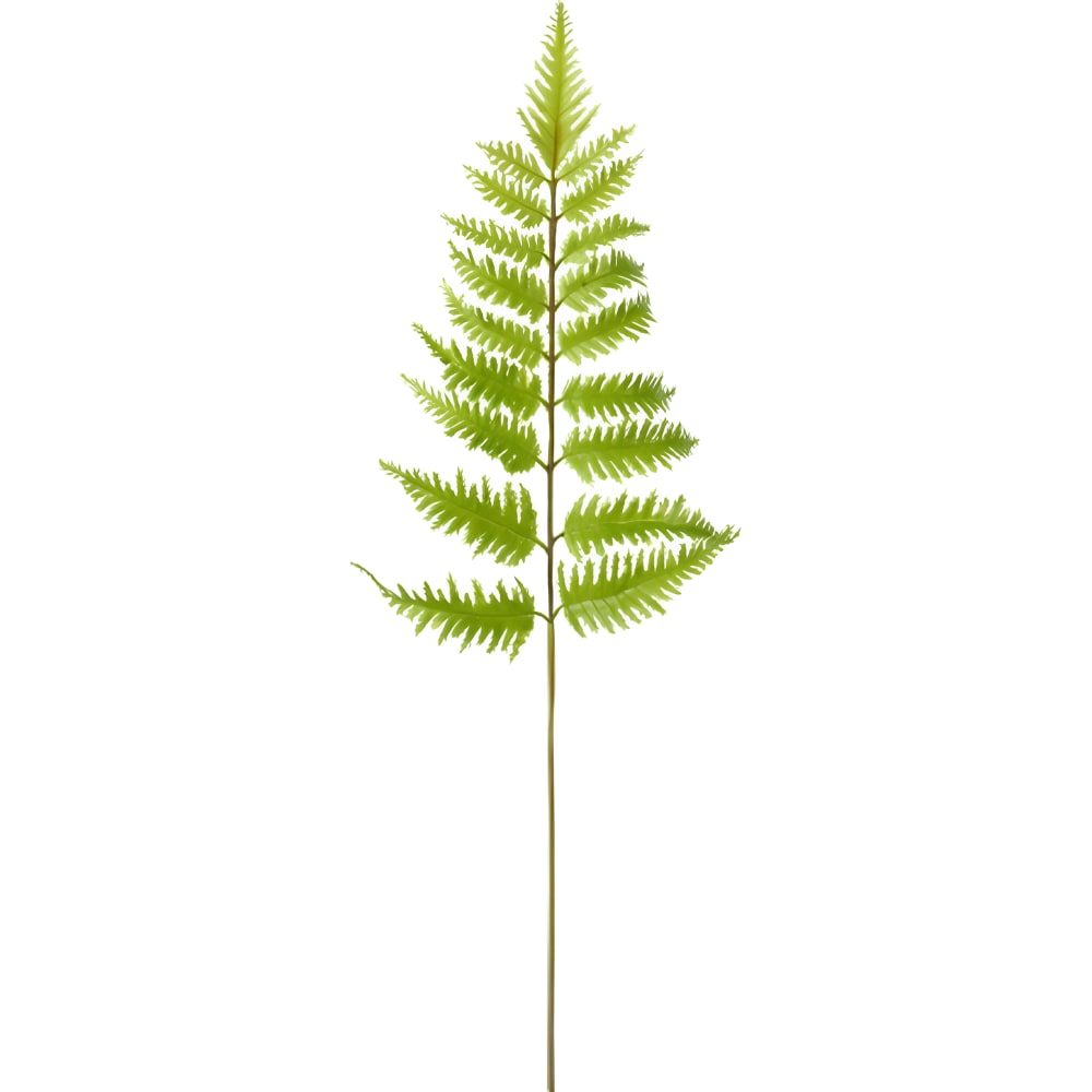 Sia Deco Künstlicher Farnstiel H55, Grün style modern Grün Pvc - Polyvinlychlorid