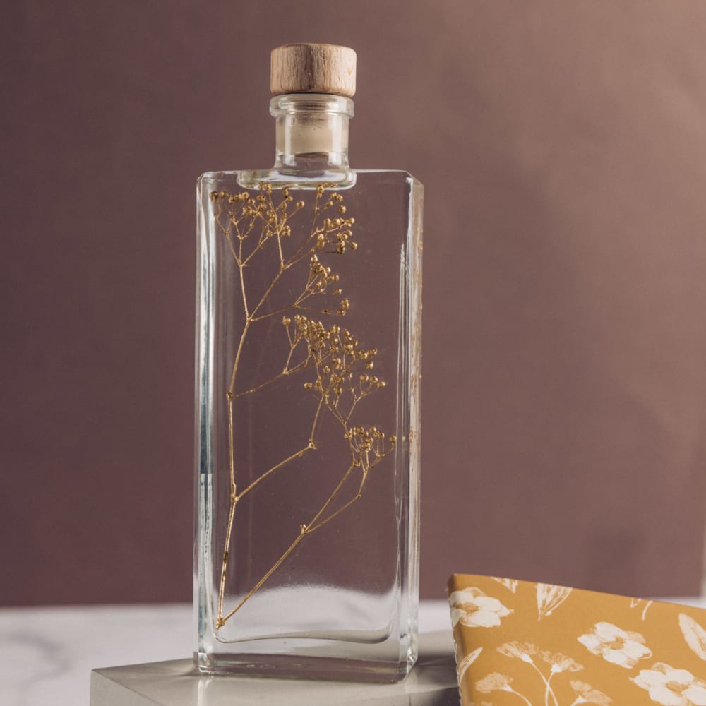 Plante immergée Gypsophile or H17