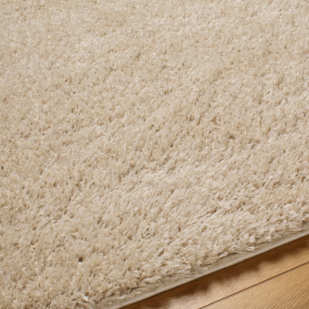 Tapis shaggy uni beige 120x180 — vue 4