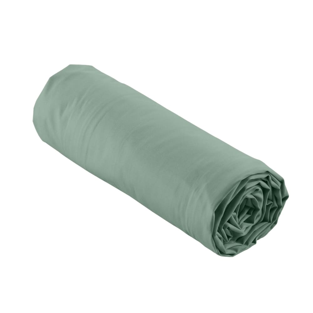 Drap housse uni 100% percale de coton origine percale de coton vert