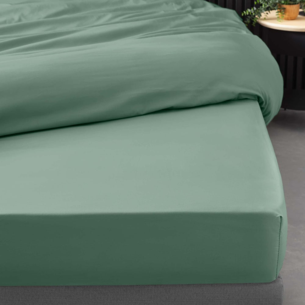 Drap housse uni 100% percale de coton origine percale de coton vert - Maisons du Monde