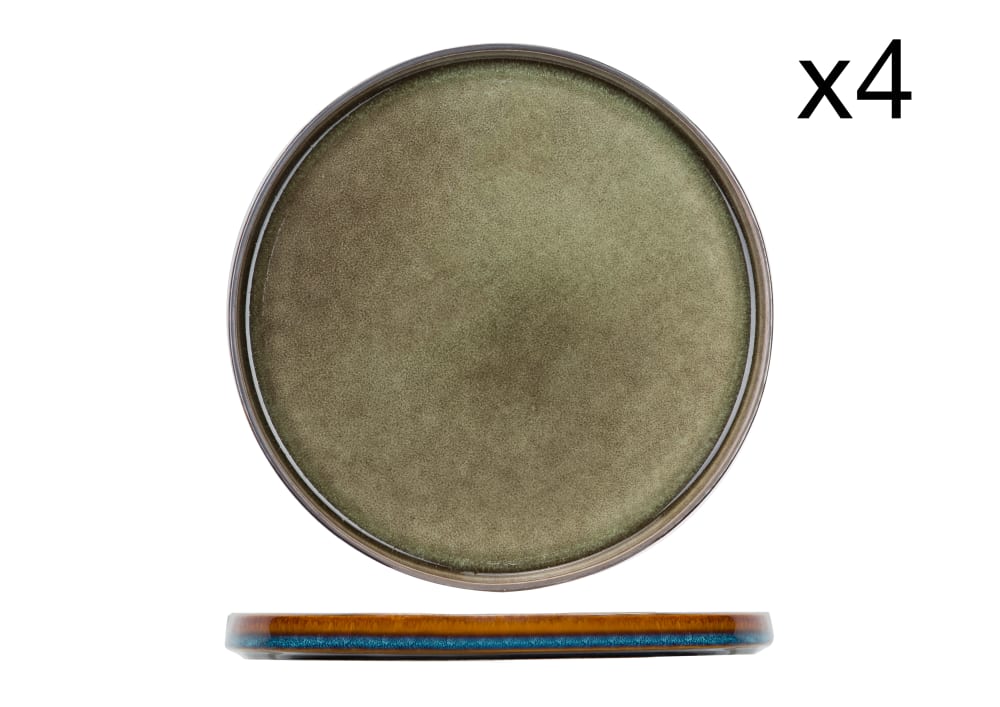 Lot de 4 Assiettes plates