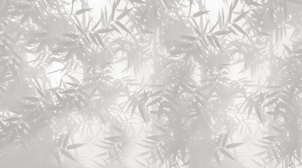 Papier peint ombres bambous, gris 375 x 250cm — vue 3
