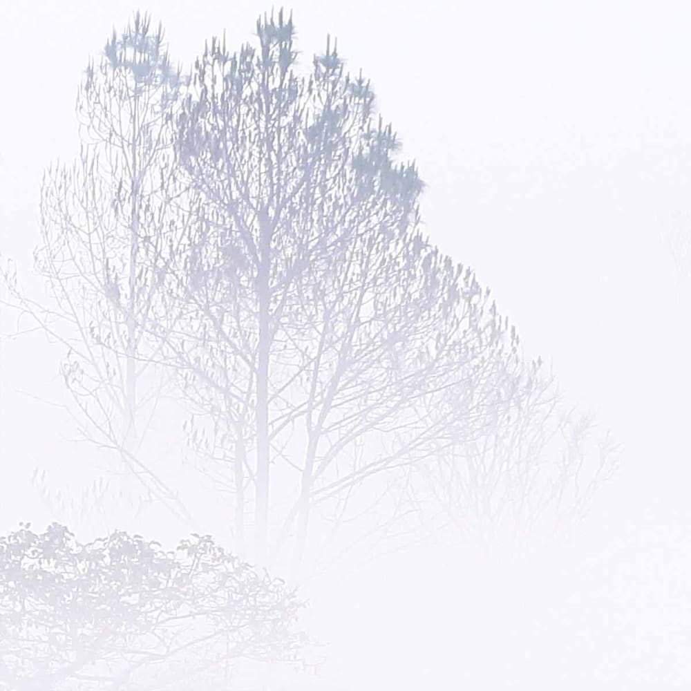 Papier peint brumes matinales, bleu 375 x 250cm — vue 4