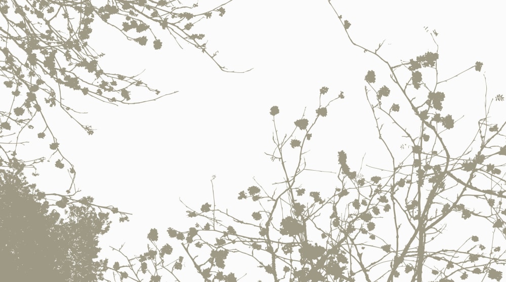 Papier peint entre les branches, gris 300 x 250cm — vue 3