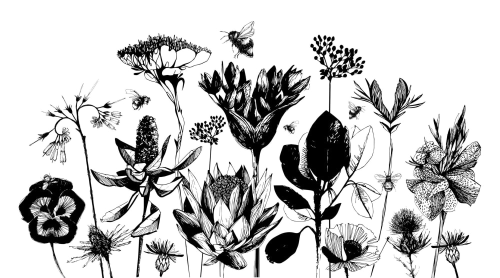 Papier peint fleurs des champs, noir et blanc 225 x 250cm — vue 3