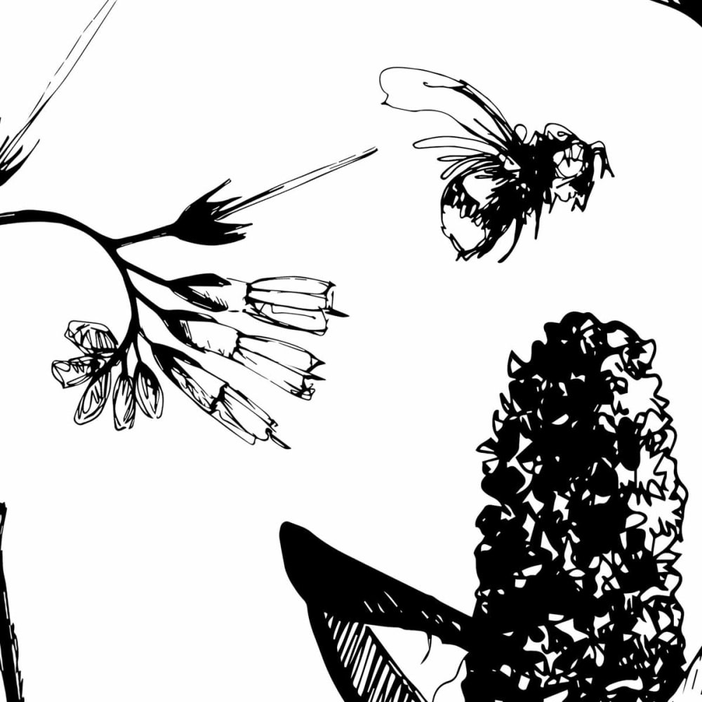 Papier peint fleurs des champs, noir et blanc 225 x 250cm — vue 4