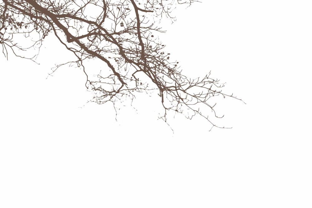 Papier peint abstract branch, brun foncé 300 x 250cm — vue 3