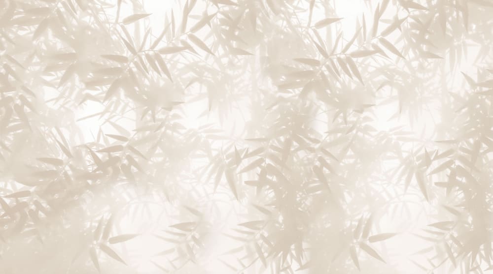 Papier peint ombres bambous, beige 225 x 250cm — vue 3