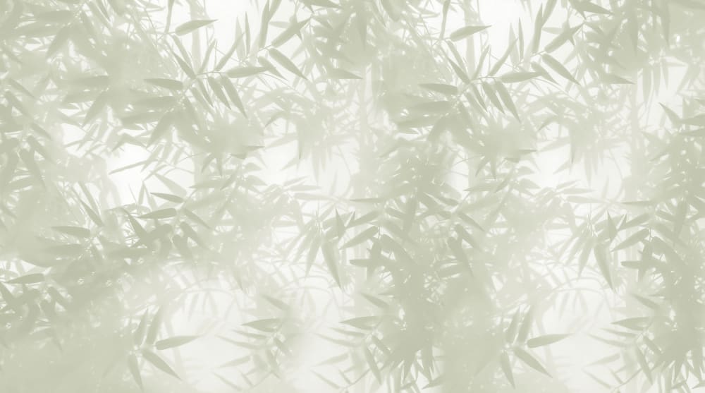 Papier peint ombres bambous, vert 300 x 250cm — vue 3