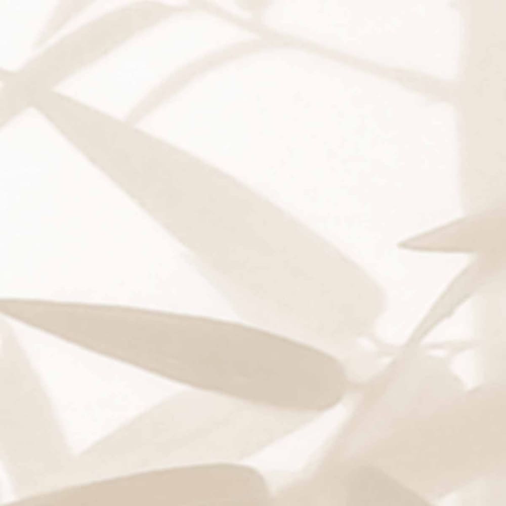 Papier peint ombres bambous, beige 300 x 250cm — vue 4