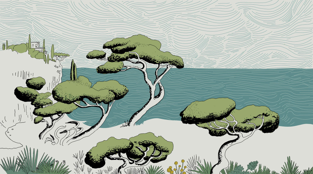 Papier peint calanques, blanc 450 x 250cm — vue 3