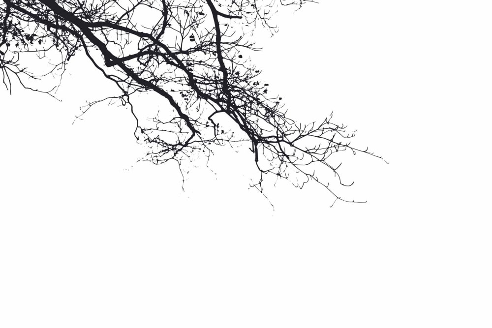 Papel pintado panoramico de ramas abstractas, negro 375 x 25 - Maisons du Monde
