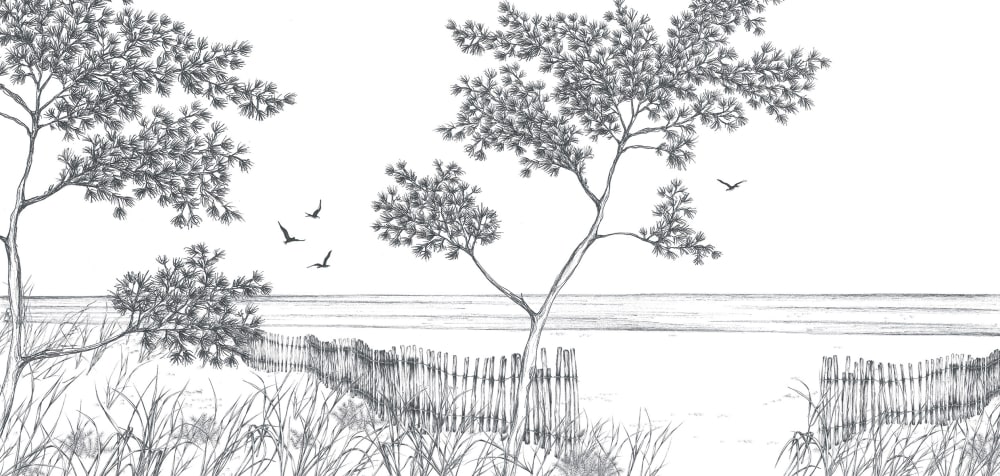Papier peint balade en bord de mer, gris 450 x 250cm — vue 3