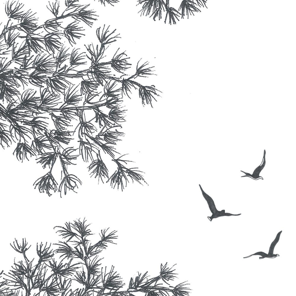 Papier peint balade en bord de mer, gris 450 x 250cm — vue 4