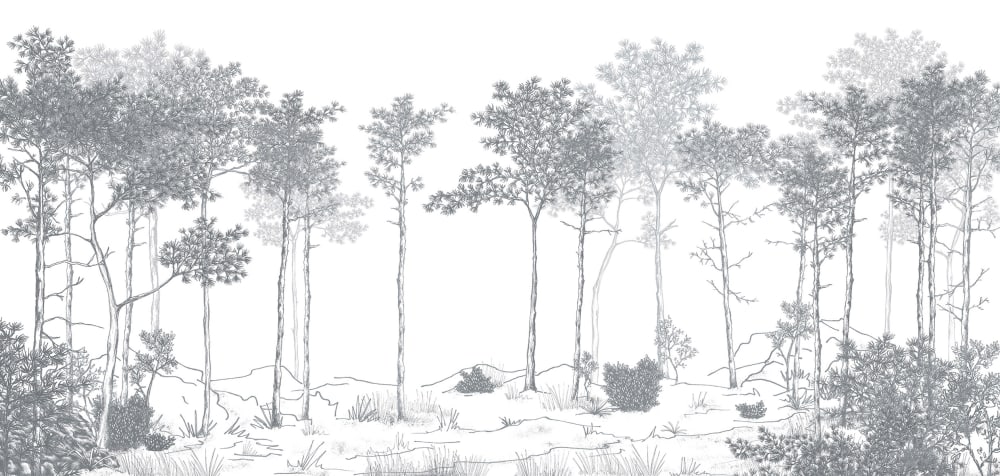 Papier peint balade dans les bois, gris 300 x 250cm — vue 4