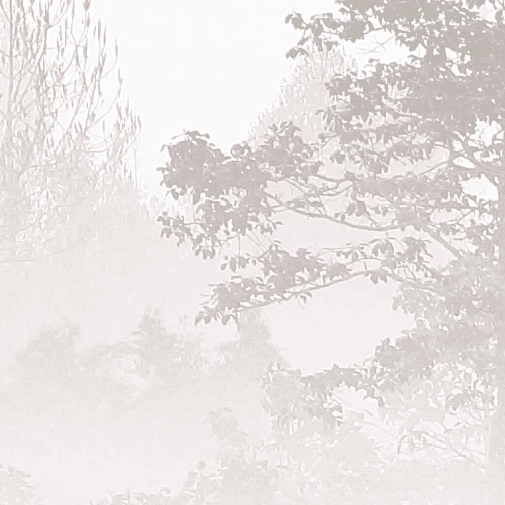 Papier peint brumes matinales, beige 375 x 250cm — vue 4
