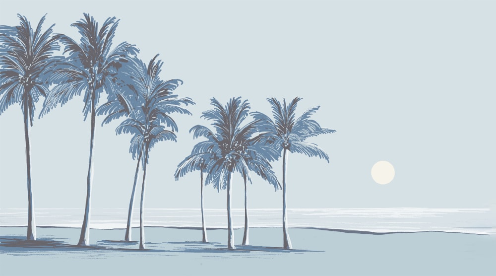 Papier peint palmiers, bleu 300 x 250cm — vue 3