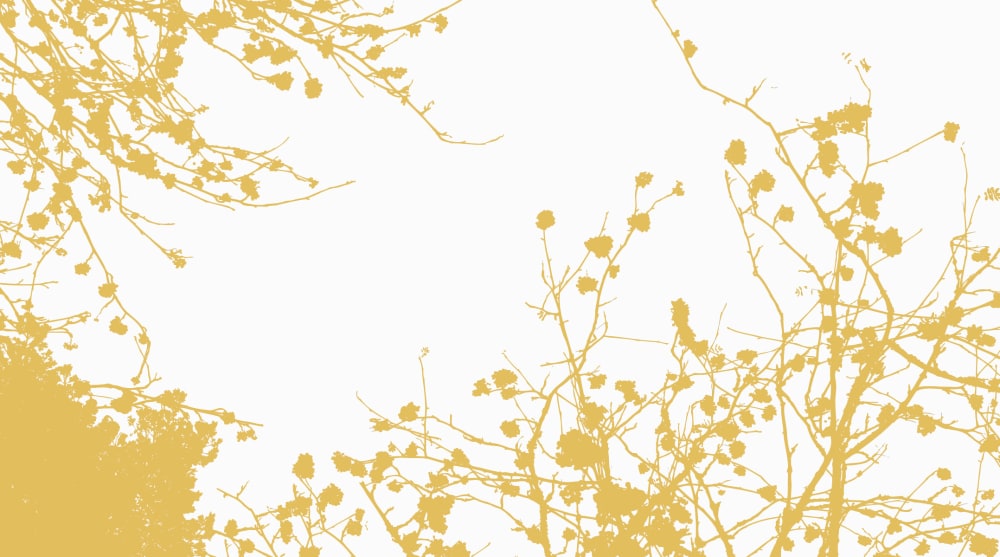 Papier peint entre les branches, jaune 300 x 250cm — vue 4