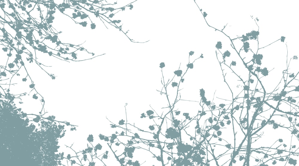 Papier peint entre les branches, bleu 375 x 250cm — vue 3