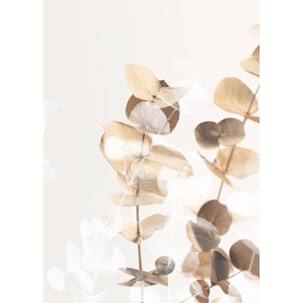 Tableau sur verre charme clair 45x65