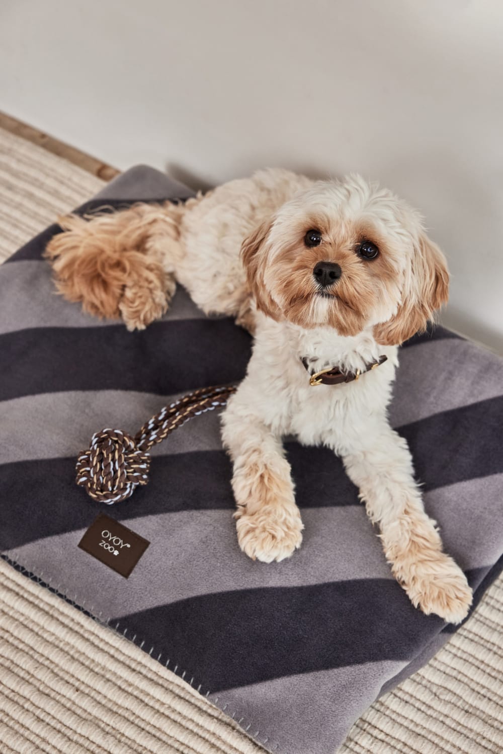 Couverture pour chien noir en polester H80x100cm - Maisons du Monde