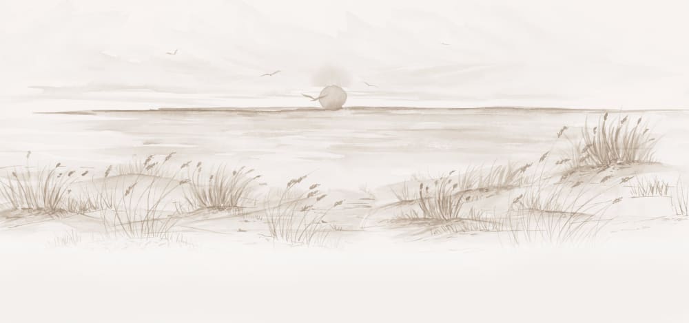 Papier peint coucher de soleil, beige 450 x 250cm — vue 3