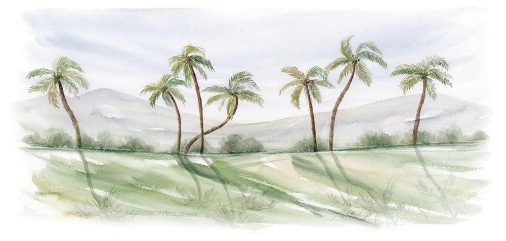 Papier peint paysage de palmiers, couleurs 450 x 250cm — vue 3