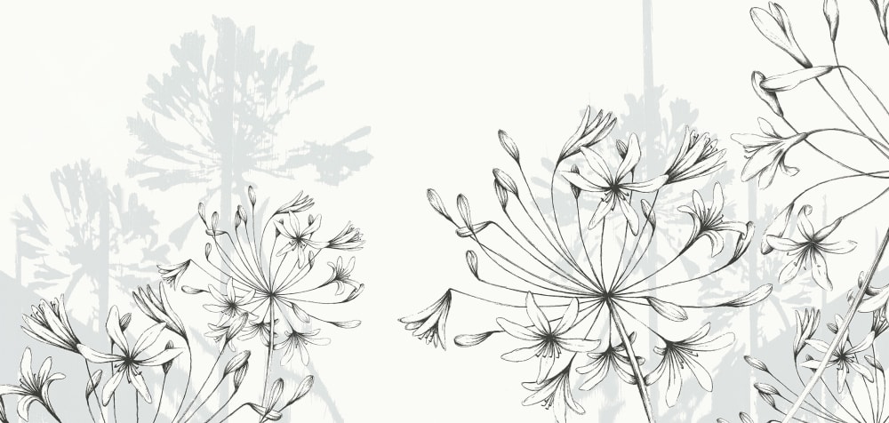 Papier peint agapanthes, couleurs 525 x 250cm — vue 3