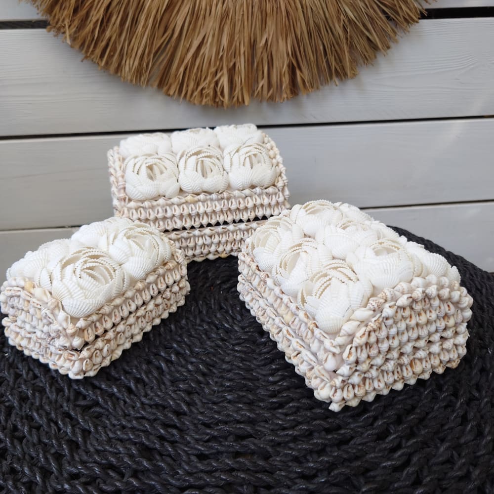 Boîtes en coquillages, blanc - Lot de 3