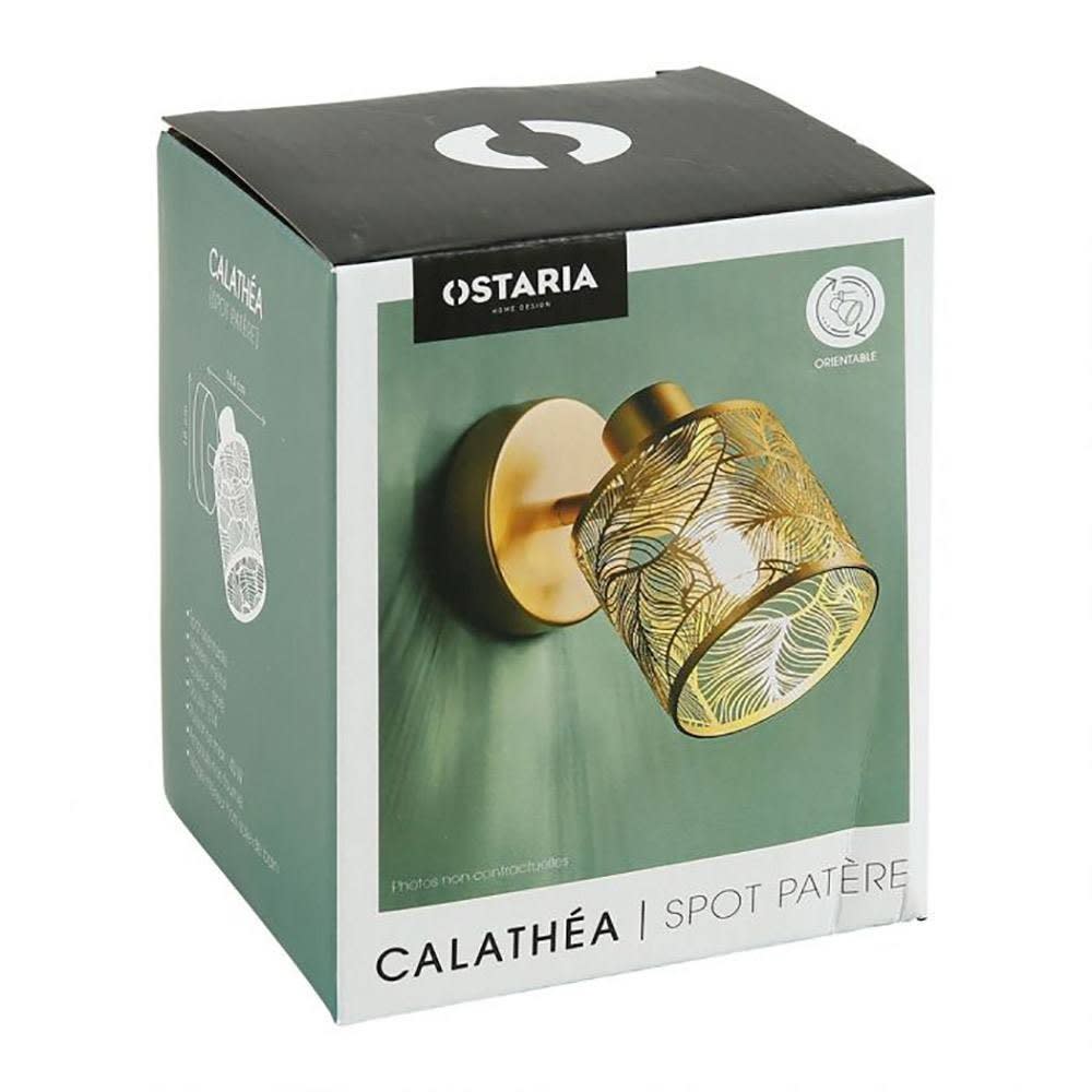 Applique spot orientable calathéa doré — vue 3