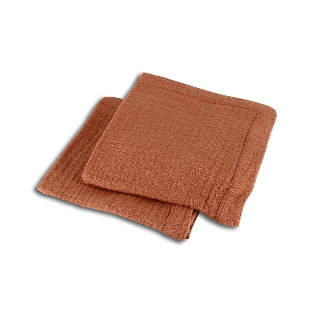 Lot de 2 serviettes de table en coton paprika 40x40cm
